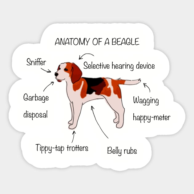 Anatomy of a beagle Sticker by bumblebeebuiscut